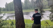 В Шарьинском районе в озере обнаружили тело мужчины