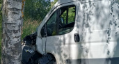 В Костромской области водитель на Peugeot пострадал после столкновения с деревом