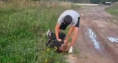 В костромском поселке подросток избил мальчика: прокуратура проводит проверку
