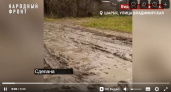Прокуратура проверит состояние дороги на Владимирской улице в Шарье после жалоб жителей