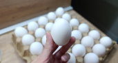 Никогда не кладите вареные яйца в холодную воду: как узнала - сразу перестала так делать и вам советую