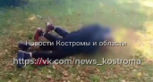 В Костромской области подросток получил удар ногой в голову: следователи возбудили дело