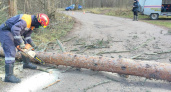 Мощный ветер повалил дерево на дорогу под Костромой, движение было затруднено