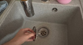 Дешевле 20 рублей и работает лучше дорогих гелей и "Крота": лайфхак, который спасает слив от засоров