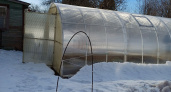 Узнал про 2 способа, как почистить снег со скатной крыши и теплицы - теперь хожу и радуюсь. Соседи о таком и не слыхали