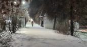 Костромичи могут остаться без снега на Новый год