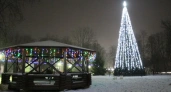 Костромская новогодняя елка претендует на титул самой красивой в стране