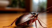 Узнал, куда в 2000-х годах из домов пропали полчища тараканов и почему они сейчас возвращаются