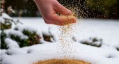 Навоз остался в прошлом: зимой по снегу рассыпаю то, что продаётся в любом магазине