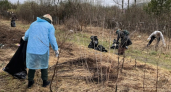 Костромичи вышли на уборку 100 территорий к майским праздникам 