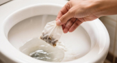 Уходя из дома, закидываю чайный пакетик в унитаз - волшебный совет знакомой горничной