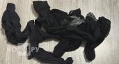 Достаю старые колготки из корзины и режу на узкие ленты: 4 способа использовать их в саду - соседи уже просят научить