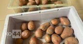 Россиян лишат "второго хлеба": за посадку картошки на своей же даче будут нещадно штрафовать
