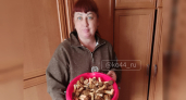 В костромских лесах набирают ведрами грибы размером с кота 