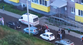 Костромич пырнул подростка ножом из-за испуганных котят