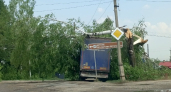 Под Костромой дерево обрушилось прямо на фуру из-за грозы