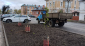 Более 100 берёз появилось в рощах на Беленогова и Никитской и 190 кустов сирени на Московской заставе