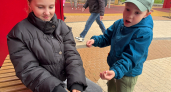 Костромичи сдали в банк полмиллиона монет