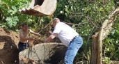 В Галиче лосенок упал в бетонный колодец