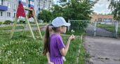 Названы сроки окончания жаркой погоды в Костроме
