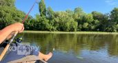 Костромичам разрешат ловить рыбу почти везде 