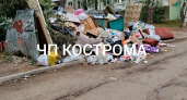 Кострому по выходным заваливает мусором 