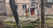 Жители Костромы затравили   кормившую голубей соседку