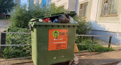 Мусорный бак на участке больше не привлекает рой мух и не смердит на жаре: брызгаю на дно 1 аптечную жидкость