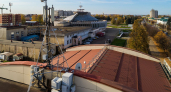 МегаФон ускорил интернет у зайчихи-купчихи