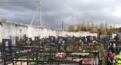 В Кологриве на кладбище орудовал пожилой преступник