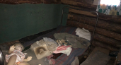 Житель Нерехты истязал свою дочь ради развлечения