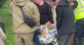 Пропавшую в лесу Костромы пенсионерку с переохлаждением нашла служебная собака