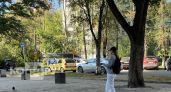 Синоптики дали прогноз на август в Костроме