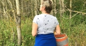 Жители составили грибную карту Костромской области