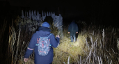 В Костроме вторую неделю ищут без вести пропавшего 32-летнего мужчину