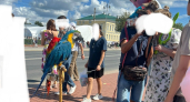 В Костроме на Дне города животных держали в духоте и без воды