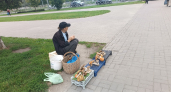 Белых море! В каких округах Костромы можно набрать корзинку любимых грибов