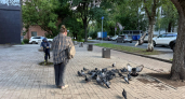 Жителей Костромы оштрафуют на 5 тысяч рублей за кормление голубей