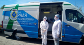 В Костроме объявили массовую бесплатную вакцинацию животных
