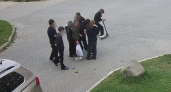 В Костроме дети сыграли в футбол обедом бездомных собак из приюта