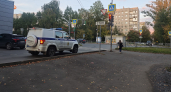  Кровавая бойня на секаторе и ножницах произошла в Костроме