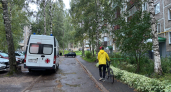 Костромичи ищут покалечившего женщину велосипедиста