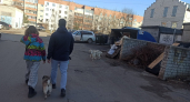 Прокуратура заявила о плохом вывозе мусора в Костромской области
