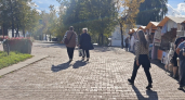 В Костроме снова потеплеет до 17 градусов: назван точный день