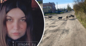 В Шарье возбудили уголовное дело из-за стай собак