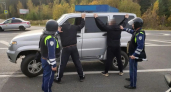 ФСБ повязала в Костроме преступную группу черных лесорубов