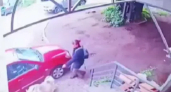 Ворующую и сматывающую собак скотчем костромичку задержали