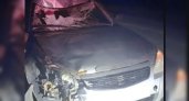 В Костроме пешеход пробил лобовое стекло авто и погиб
