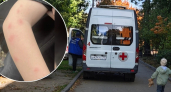 В Нерехте ребенка выписали из больницы с 19 укусами насекомых