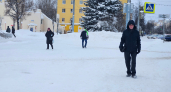 Приметы обещают теплую зиму в Костроме